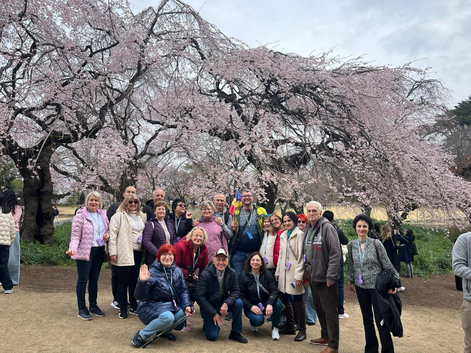 In Japonia de Festivalul Ciresilor