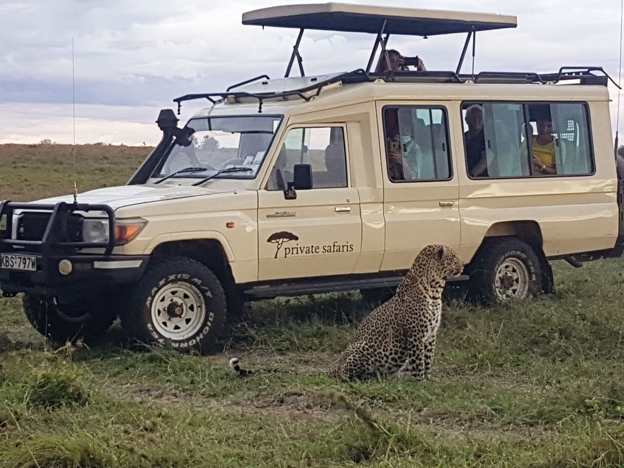 Kenya safari