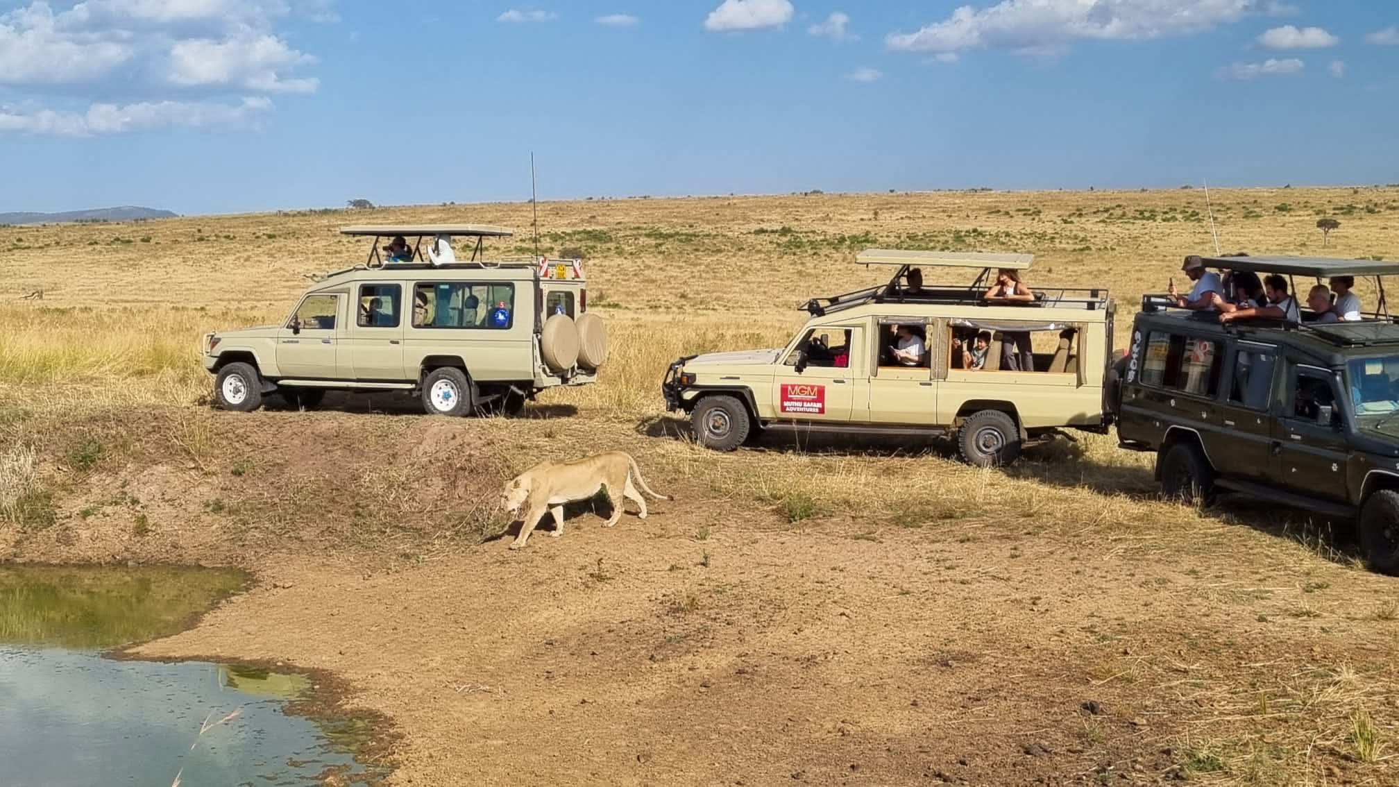 Safari in Kenya