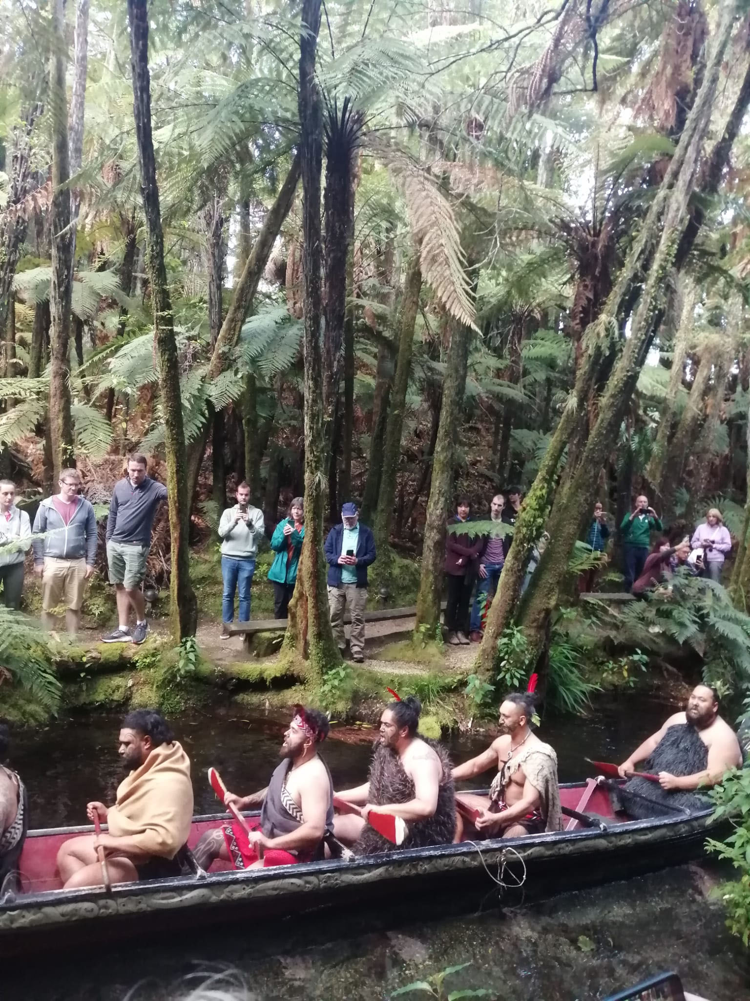 Noua Zeelanda Maori experience