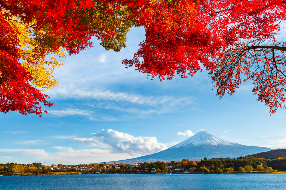Japonia Culorile Toamnei