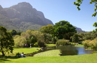 Vom vizita frumoasele gradini botanice Kirstenbosch–considerate cele mai frumoase gradini botanice din lume.