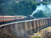 Traversam trecatoarea Outeniqua catre urmatoarea noastra destinatie–Knysna, unde vom explora un “oras al oamenilor, al frumusetii si al misterului”.