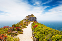 si continuam catre Cape Point, unde se spune ca se intalnesc apele oceanelor Atlantic si Indian ce ne va fermeca cu un peisaj magnific.