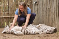 Ultima, dar poate si cea mai frumoasa experienta a zilei, va fi vizitarea fermei Cango Wildlife unde poti sta fata in fata cu gheparzii, cele mai rapide animale de uscat.