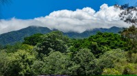 Veti porni azi intr-o calatorie spre poalele Vulcanului Rincon de la Vieja, o regiune bogata in activitate geotermala