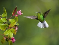 Suntem in Costa Rica, o mica tara din America Centrala