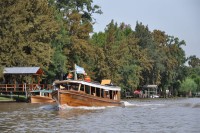 Dupa micul dejun, excursie de o jumatate de zi in Delta del Tigre (Delta Tigrului), unde veti avea ocazia sa descoperiti Raul Parana si miile de insule dimprejur, navigand la bordul unei ambarcatiuni pe diferitele brate ale Deltei