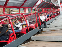 La Katoomba, cel mai important oras din zona Blue Mountains, vom calatori cu Scenic Railway – calea ferata cu cea mai abrupta inclinare din lume, care te duce la baza muntelui in mai putin de 1 minut.