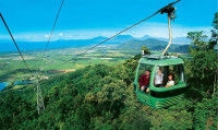 Vom calatori timp de o ora cu cea mai populara atractie din Cairns–telefericul Skyrail care aluneca usor peste bolta padurii tropicale si ofera vederi spectaculoase asupra muntelui, oceanului si a minunatelor cascade din zona.