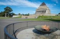 Vivitam simbolul orasului Melbourne–Shine of Rememberance, construit in 1934 in memoria soldatilor cazuti in Primul Razboi Mondial. E construit si pozitionat incat o raza de soare sa treaca deasupra altarului la ora 11:00 pe 11 Noiembrie