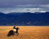 Gauchos sunt poate cele mai reprezentative figuri din istoria poporului. Ei erau neinfricatii calareti singuratici care strabateau pampasul argentinian