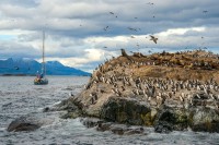 Admiram si Insulele Bridges si Isla de los Pájaros (Insula Pasarilor) cu coloniile de cormorani, pescarusi si albatrosi.