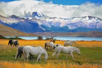 Acesta este unul dintre cele mai bine conservate parcuri din lume, avand ca functie principala pastrarea peisajelor, a ecosistemelor si a speciilor.