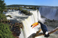 Excursie la Cascadele Iguazú (partea Braziliana). Cascada Iguazu–sau mai bine spus Cascadele Iguazu datorita celor 275 de cascade diferite intinse pe o lungime de 3 km–este una dintre minunile naturale ale lumii, localizata pe raul Iguazu