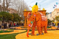 optional o experienta de exceptie–Festivalul Lamailor din Menton