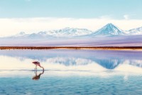 Salar-ul, locuit de pasari si flamingo andini, este una dintre minunatiile majore ale acestui vast desert