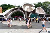 Vizitam Centrul de Cercetare pentru Reproducerea Ursului Panda Urias.