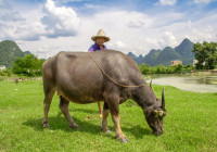 tur ce va include o vizita la un fermier pentru a cunoaste mai bine viata rurala traditionala din China.