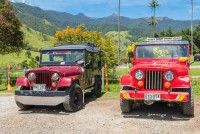 Excursie in jeep-uri Willis pe Valea Cocora situata in departamentul Quindío din Anzii columbieni.
