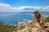 St. Michael’s Ave si Apes Den unde vom intalnii cei mai celebri rezidenti ai Gibraltarului – „macacii”.