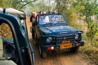 vom porni in Safari in Parcul National Ranthambore