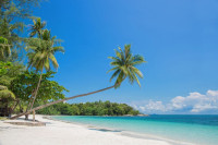 Aflata la doar 48 de km fata de futuristicul Singapore, insula Bintan asteapta sa va ofere un sejur complet intr-un peisaj idilic. Una dintre destinatiile de plaja preferate de catre singaporezi si nu numai, ofera toate elementele vacantei tropicale.