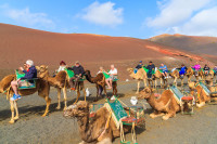 Insula Lanzarote Parcul National Timanfaya