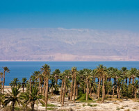 Iordania Marea Moarta palmieri