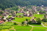 Ne indreptam catre satul Shirakawago–parte a Patrimoniului UNESCO, unde vom admira multe exemple reusite de acoperisuri din paie sau stuf, ferme impunatoare, unele dintre acestea functionand ca hanuri.