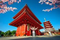 un bulevard cu magazine de suveniruri si specialitati, ce duce pana la Templul Senso-ji unde vom face popas pentru vizitare.