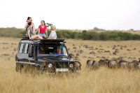 Dupa-amiaza continuam descoperirea faunei din parc cu un alt treilea game drive in Masai Mara.