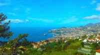 tur de oras cu ghid local. Funchal, capitala Madeirei, este situat intr-un golf atractiv, inconjurat de munti.