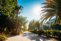 Malaga Paseo del Parque