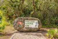 Optional, Excursie la Parcul National Everglades cu pranz inclus.