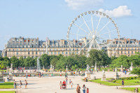Paris Louvre Gradini Tuileries