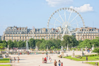 Paris Louvre Gradini Tuileries