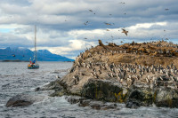 Continuam cu Isla de Pájaros (Insula Pasarilor) pentru a vedea coloniile de cormorani, pescarusi si albatrosi.