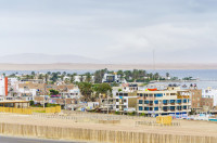 Dimineata devreme plecare catre Paracas-oras-port de unde vom face o excursie cu vasul (daca conditiile meteo permit)