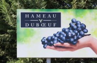 si parcul tematic viticol Hameau Duboeuf