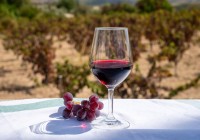 Vom degusta vinuri realizate din soiuri albe precum Xynisteri, un soi local, iar vinurile rosii ne vor incanta cu aromele profunde