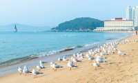 Ne indreptam apoi catre plaja Haeundae, cea mai celebra plaja din Coreea de Sud