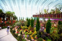 Flower Dome este o sera uriasa care reproduce un climat mediteraneean