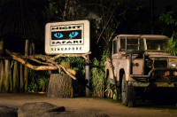 Seara, optional, Night Safari. Primul Night Safari din lume, organizat pe o suprafata de peste 40 de hectare de jungla secundara, va va dezvalui imediat dupa apus misterul si drama din jungla tropicala cu efecte uimitoare !