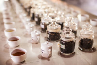 si o fabrica de ceai, unde veti participa la recoltarea ceaiului si desigur veti si degusta celebrul ceai.
