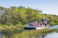 Excursie la Parcul National Everglades (6 ore)