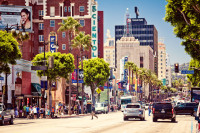 Mic dejun. Dimineata timp liber la dispozitie in Los Angeles.