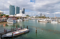 Bayside Market,