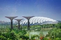Flower Dome este o sera uriasa care reproduce un climat mediteraneean rece-uscat al regiunilor din Africa de Sud, California, Spania si Italia. Aici veti putea vedea specii rare precum Baobabul, Copacul Fantoma din Madagascar, maslin de peste 1.000 de ani