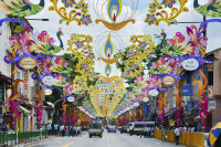 Continuam cu unul dintre cele mai vibrante si autentice districte, Little India. Ne indreptam spre cel mai mare cartier istoric plin de exotism, Chinatown. Terminam cu faimoasa Gradina Botanica